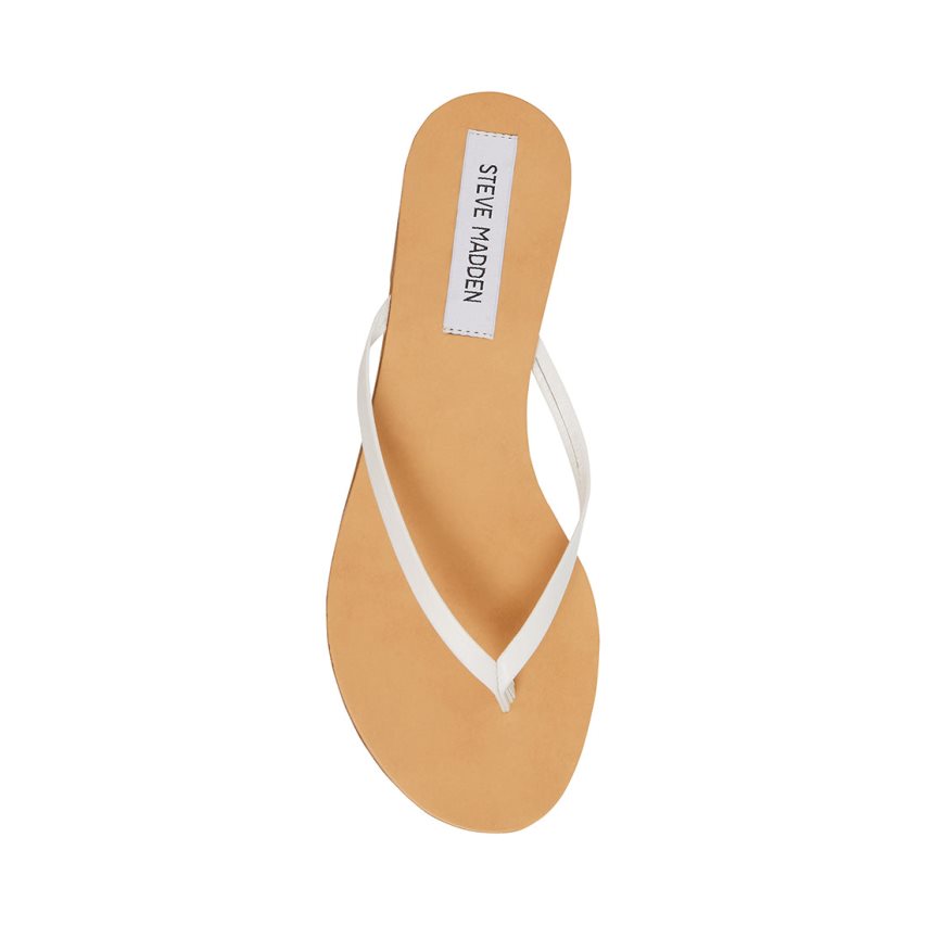 Chanclas Steve Madden Image Cuero Mujer Blancas | ES IX8692